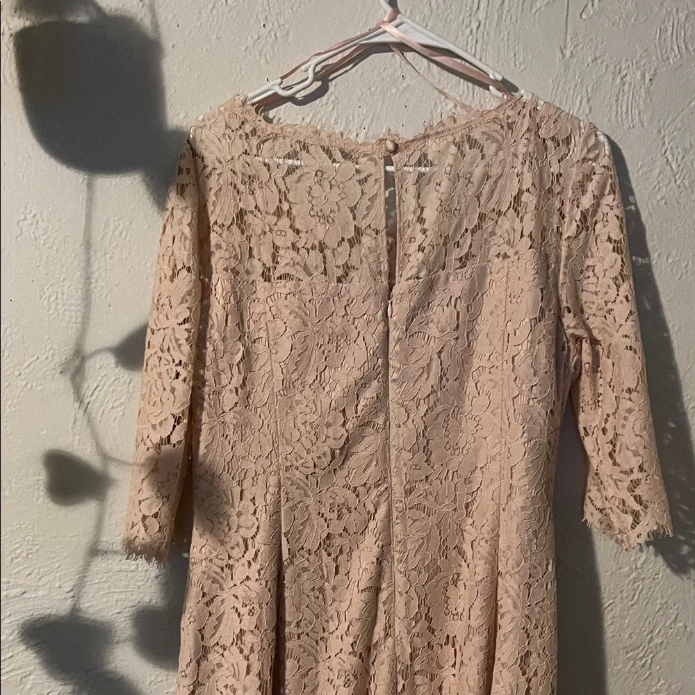 Eliza J Lace Long Sleeve Dress in Cream - Picture 7 of 8